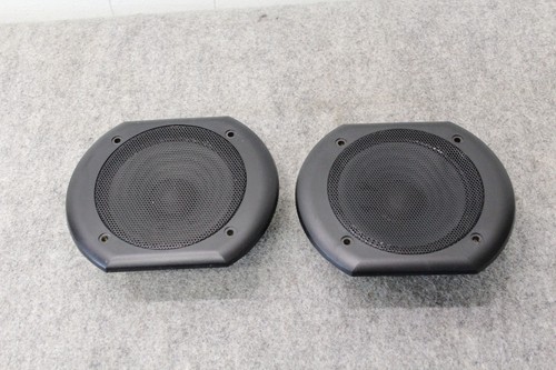 Very nice pair cerwin - !,