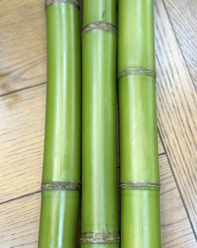 Fresh cut natural bamboo - 1”,