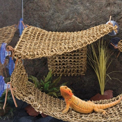 Reptile hammock bearded - reptile,