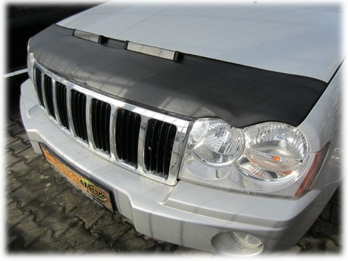 Car hood bra - bra, nose
