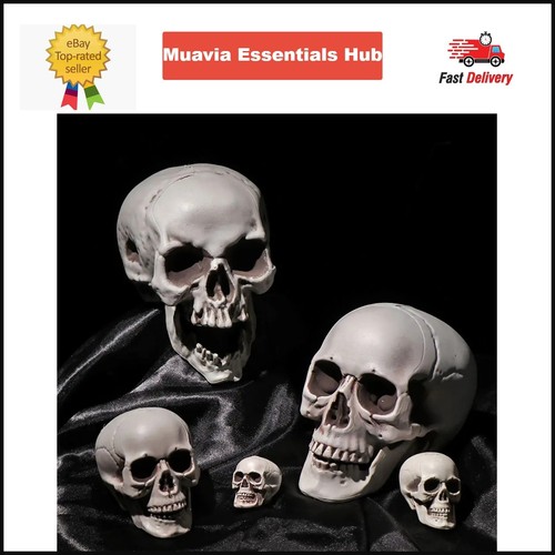Halloween props plastic - halloween,