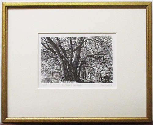 Sue scullard the edge - sue, of