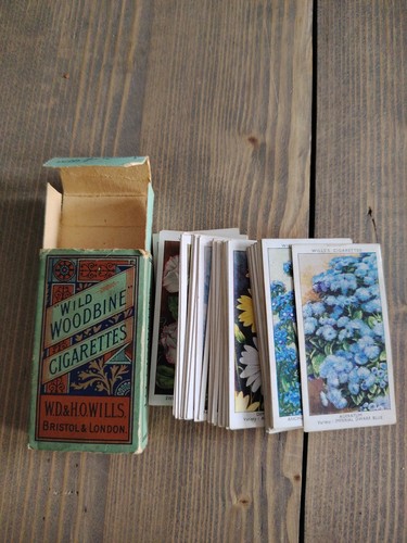 Wild woodbine cigarette - woodbine, packet