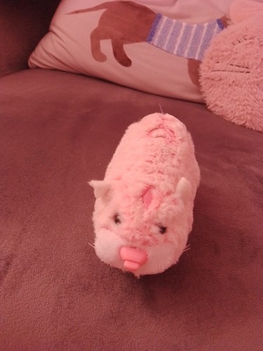 Interactive zhu hamster - interactive,