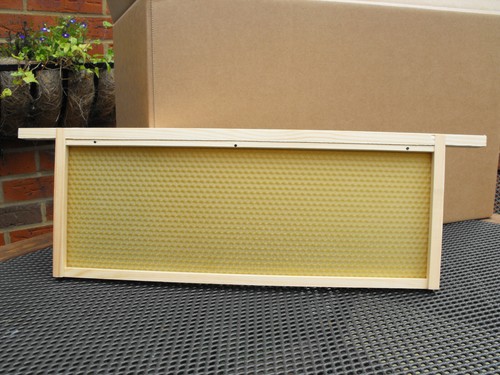 Sn1 national wbc frames - national/wbc,