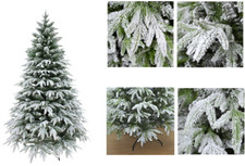 Snow flocked christmas - flocked, tree