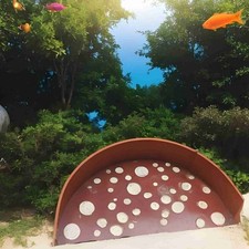 Shrimp Breeding Cave Aquarium Tunnel Protector Delicate Landscape Hollow