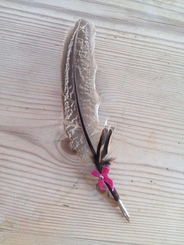 Small pheasant feather quill - small,