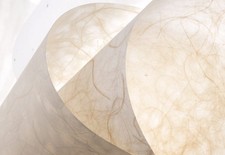 Japanese Surface Washable