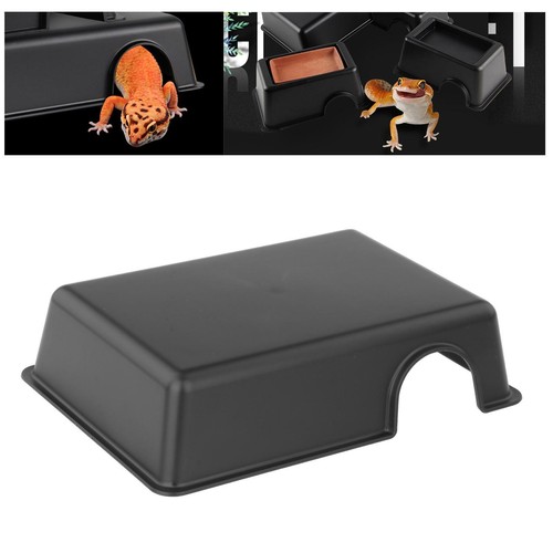 Reptile hiding box - reptile, gecko