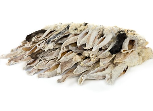 Herons rabbit ears with - rabbit,