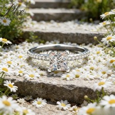 Light Luxury 1-2ct Princess D