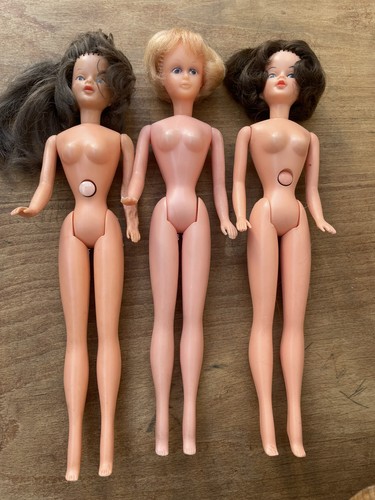 1960s palitoy tressy dolls - palitoy,