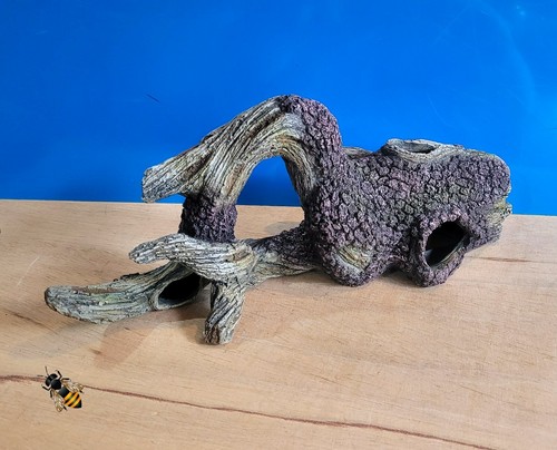Driftwood tree root - tree, mangrove