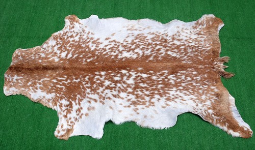 Luxury goat hide - hide, hair