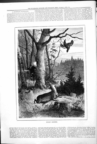 Original old antique print - original,