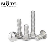 M6 M8 M10 Cup Square Carriage Bolt Coach Screw A2 Stainless Steel Coach Bolts
