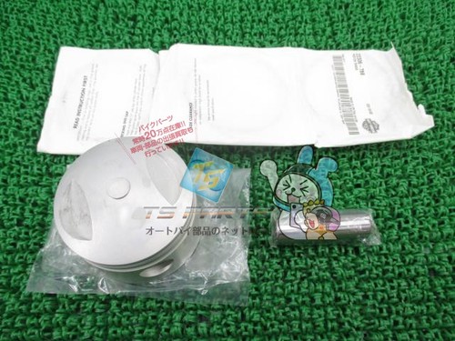 Fxr piston kit in - fxr, stock