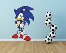 Sonic The Hedgehog Wall