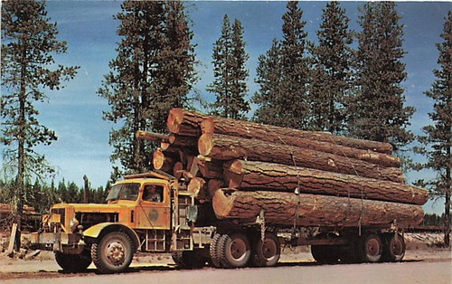 Postcard logging truck - logging,