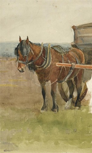 Horse rural scene - in,