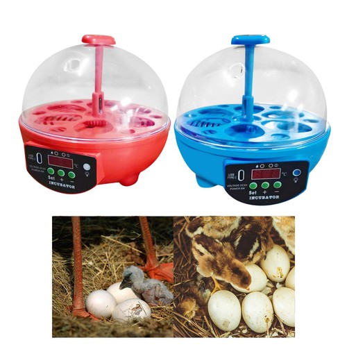 Eggs incubator automatic - 6,