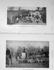 Old Antique Print 1907 Hunting Forest Courtenay Tracey Otter Hounds Sport 20th