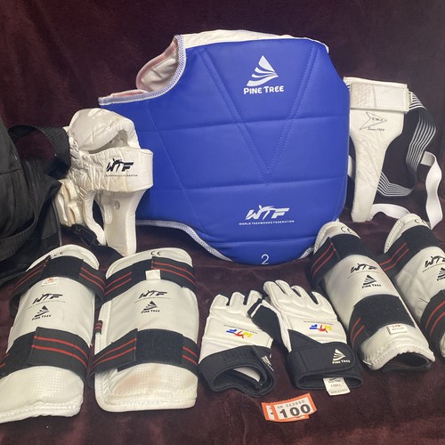 Taekwondo sparring kit - sparring,