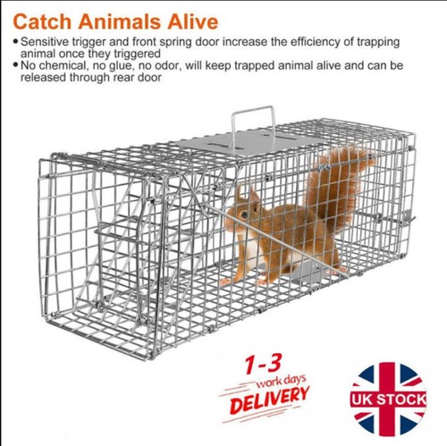Squirrel trap large heavy - squirrel, duty