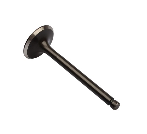 Exhaust valve for - exhaust, xv