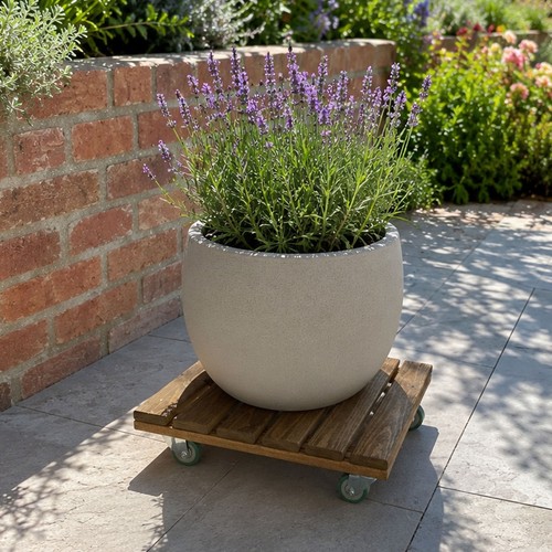 Plant pot caddy mover wooden - pot,
