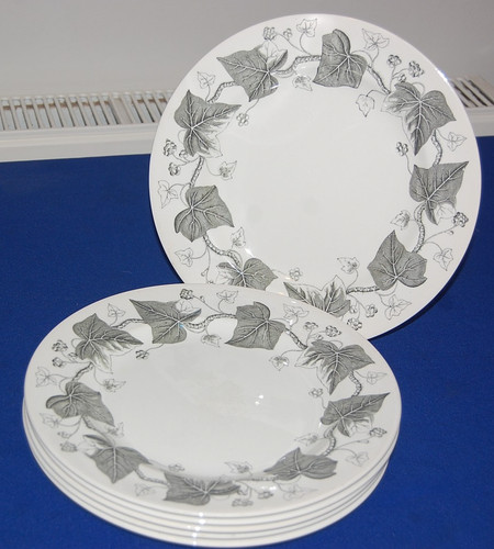 Wedgwood set napoleon ivy - 6,