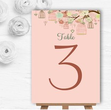 Vintage Shabby Chic Birdcage