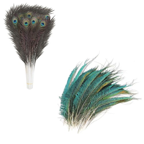 20x peacock tail feathers - 20x,