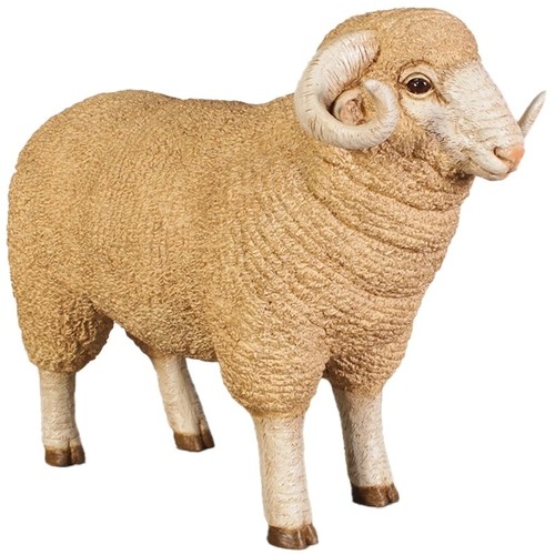 55cm life size merino ram - size,