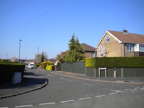 Photo 6x4 south end hazel - photo,