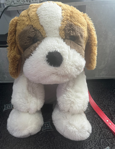 Large whitehouse paws - large,