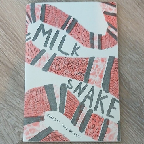 Milk snake toby buckley - toby,