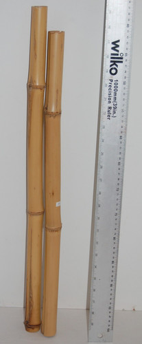 Bamboo poles reptiles craft - bamboo, poles,