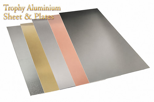 Blank trophy engraving - trophy,