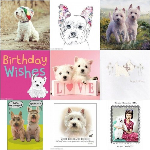 Funny cute west highland - cute,