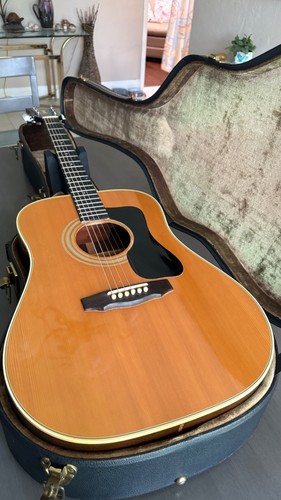 1980 guild nt acoustic - d-50,