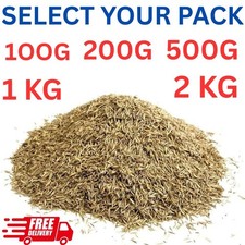 Lawn Grass Seed 100 g 200 G