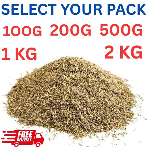 Lawn grass seed - grass,