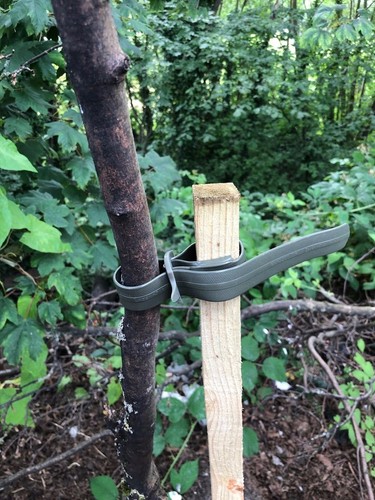 Heavy duty garden buckle - buckle, tree