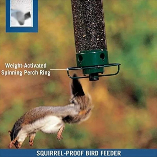 6in squirrel proof bird - 14.6in,
