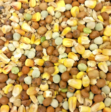 PIGEON MIX Colonels Four