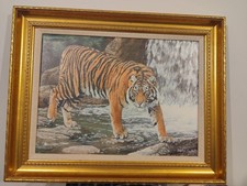 Stephen Gayford Indian