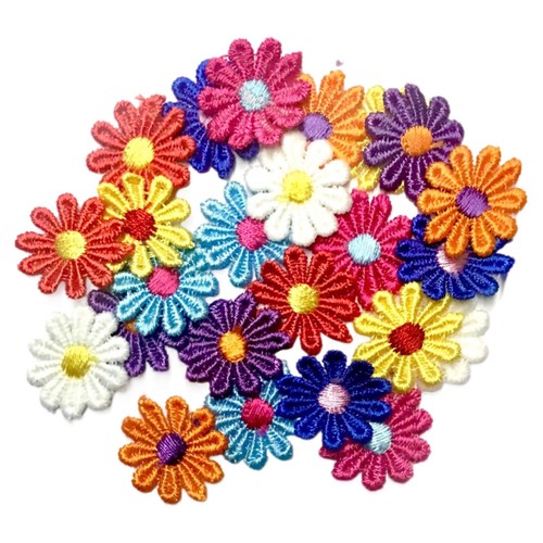 24x multicolour daisy flower - daisy,
