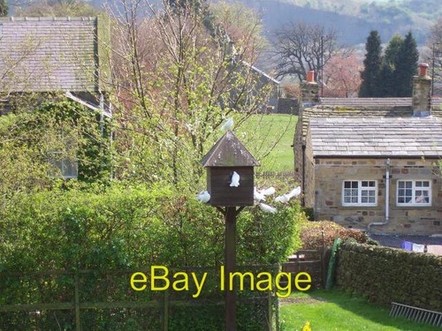Photo 6x4 dovecote - in, garden